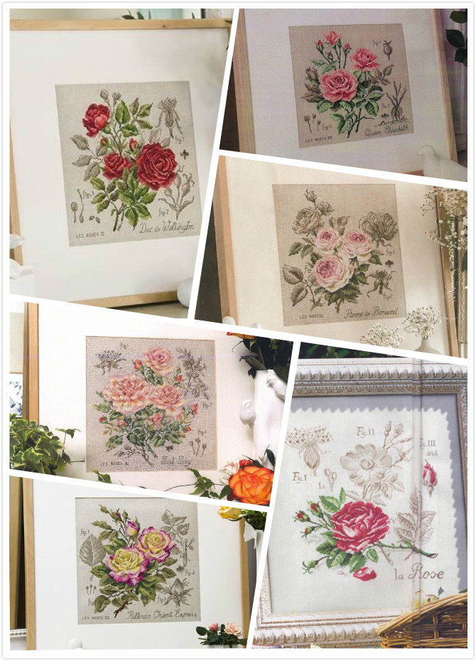 Embroidery Rose Stitch - Dfea Bóng Dòng Hoa Hoa Hồng