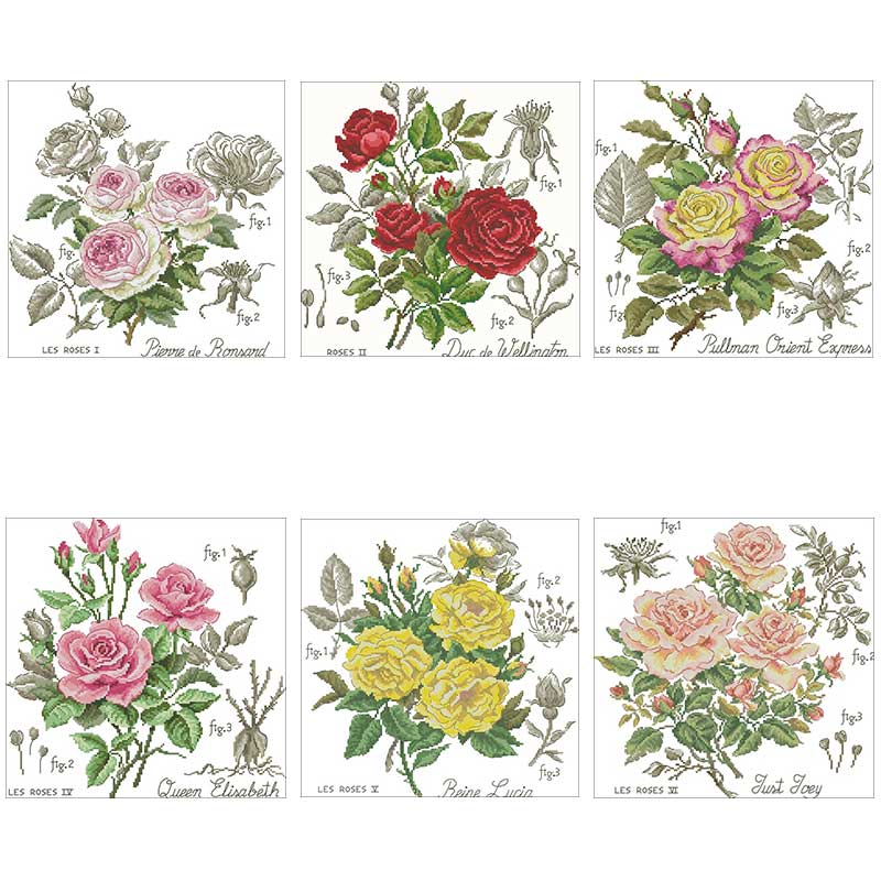Embroidery Rose Stitch - Bóng Hoa Hồng Hoa Văn Được