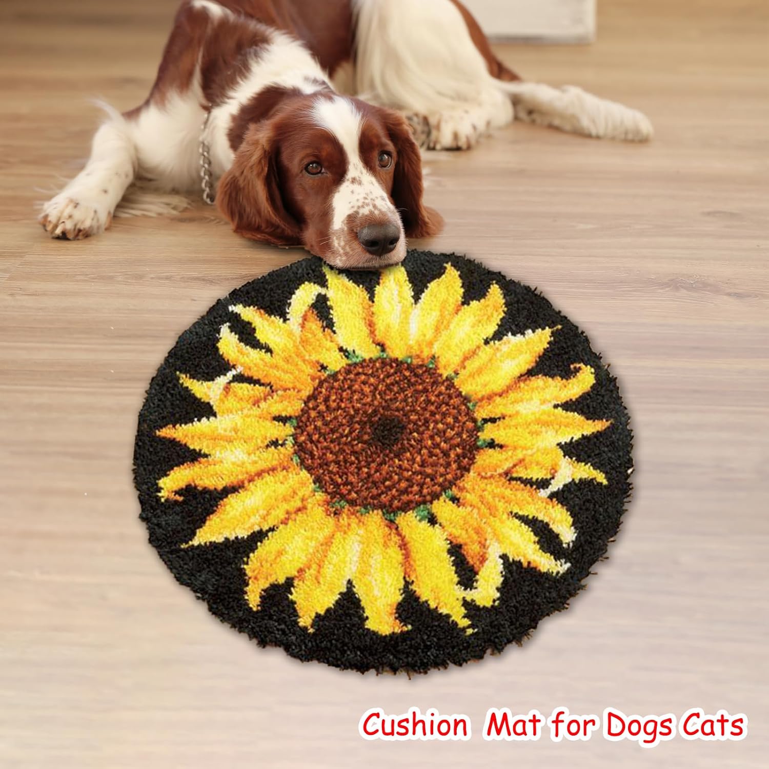 Latch Hook Rug Kit, Sunflower  - đánh giá và giá Embroidery X Pattern